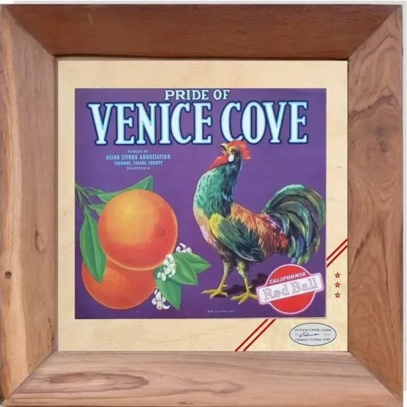 Vintage Werbe-Poster 'Venice Cove' - Alter Aufkleber für Fruchtkisten